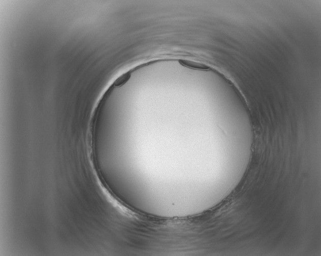 X0000056361531200509232118