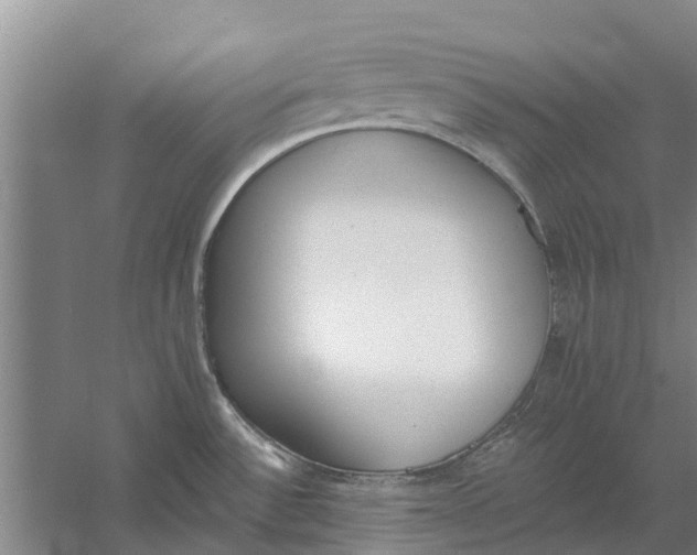 X0000056361532200509232118