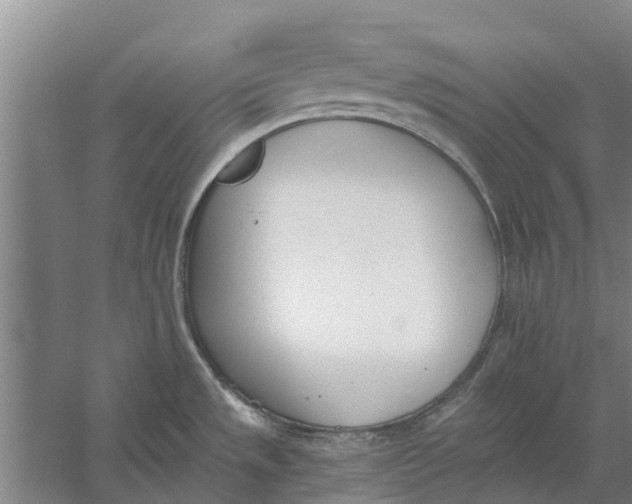 X0000056361533200509232118