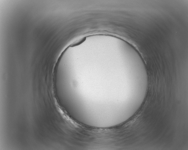 X0000056361534200509232118