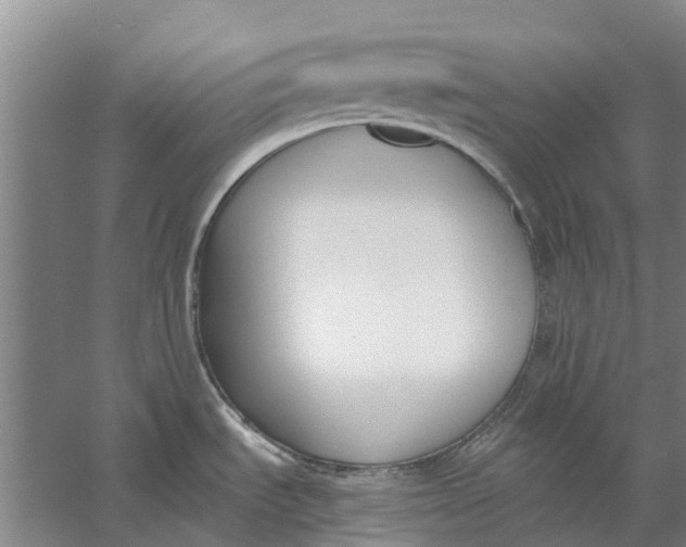 X0000056361535200509232118