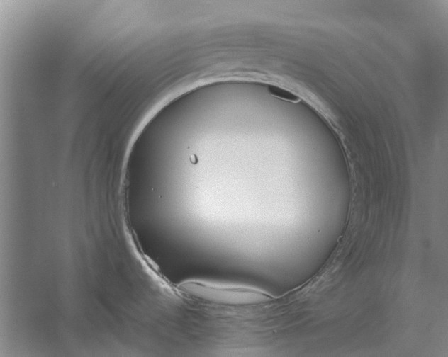 X0000056361536200509232118