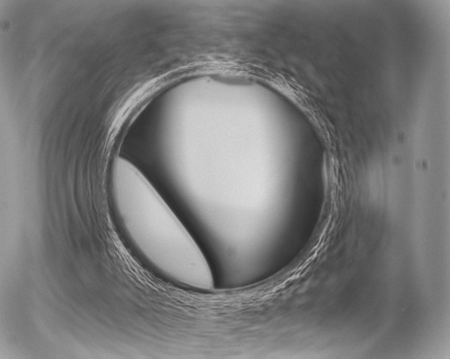 X0000056370007200508260932