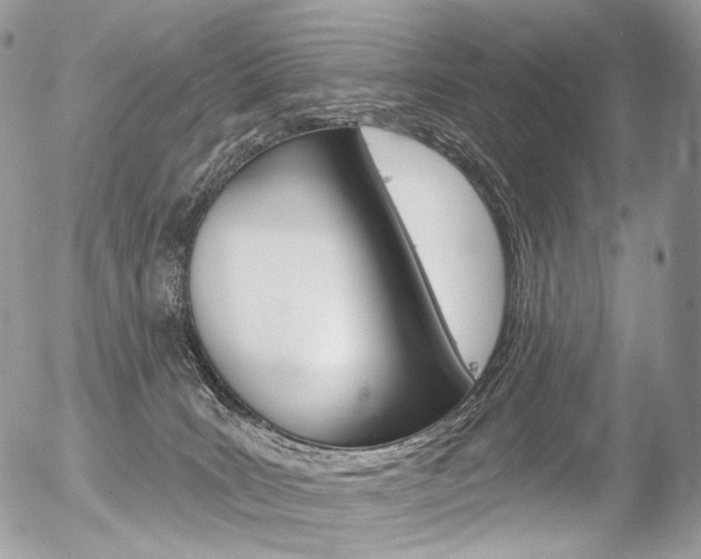 X0000056370035200508260932