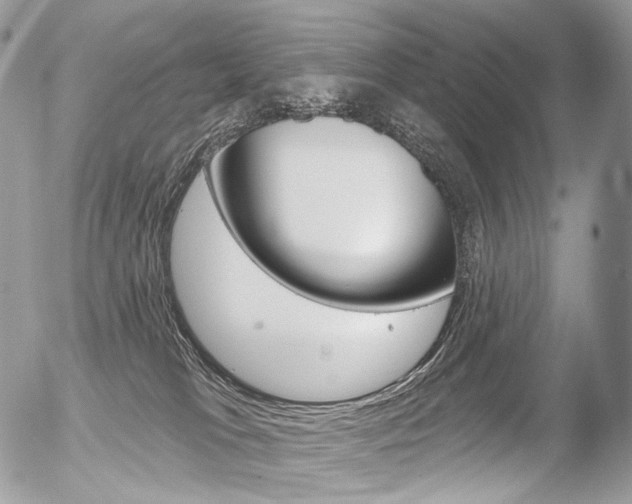 X0000056370037200508260931