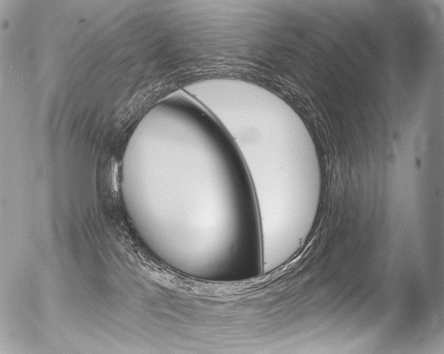 X0000056370041200508260931