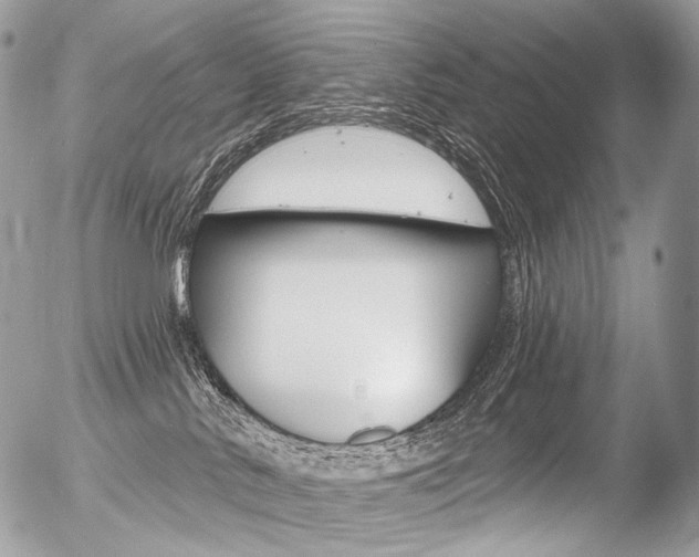 X0000056370042200508260931