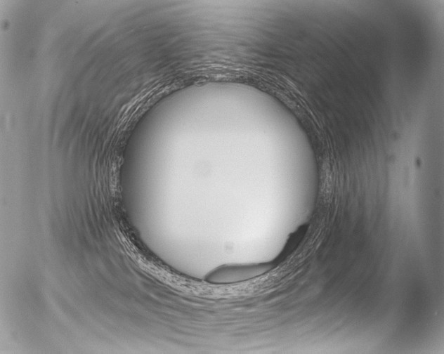 X0000056370043200508260931