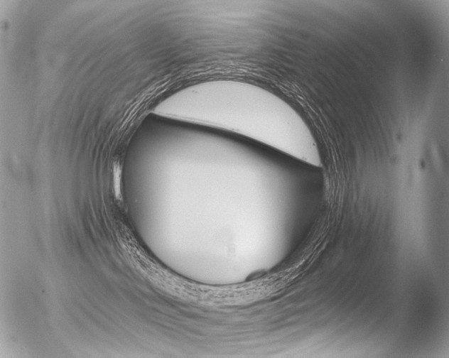 X0000056370046200508260931