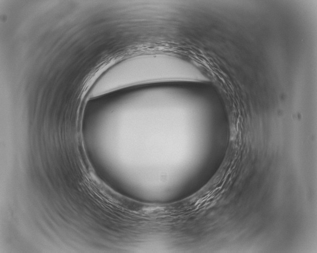 X0000056370052200508260931
