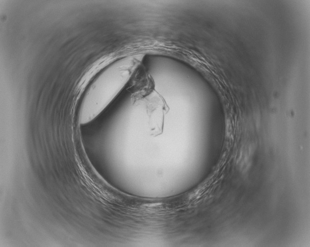 X0000056370054200508260931
