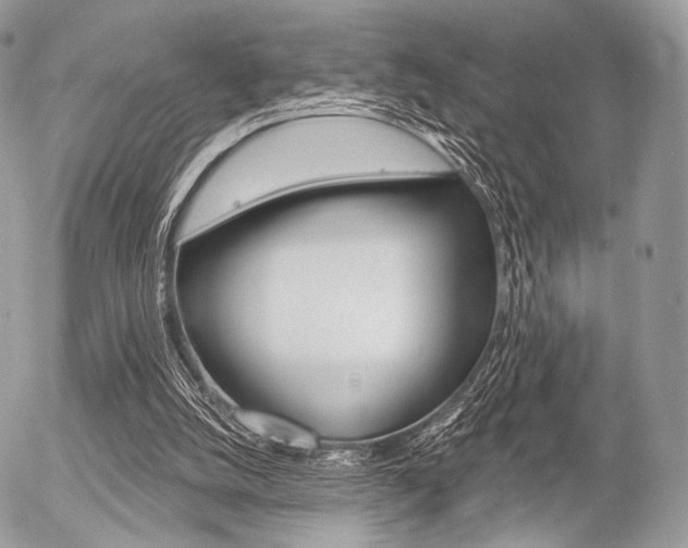 X0000056370056200508260931