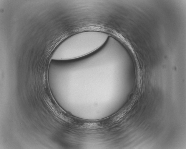 X0000056370057200508260931