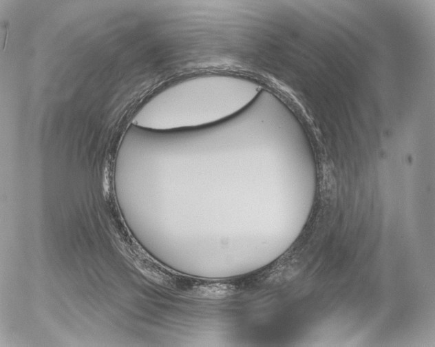 X0000056370069200508260931