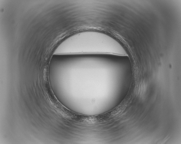 X0000056370071200508260931