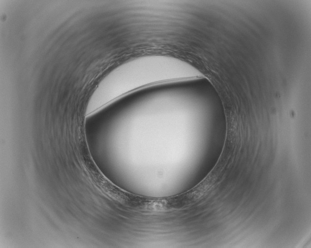 X0000056370080200508260931