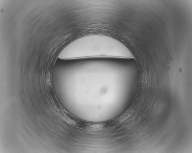 X0000056370081200508260931