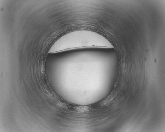 X0000056370085200508260931