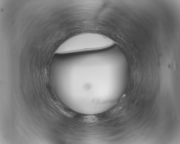 X0000056370087200508260931
