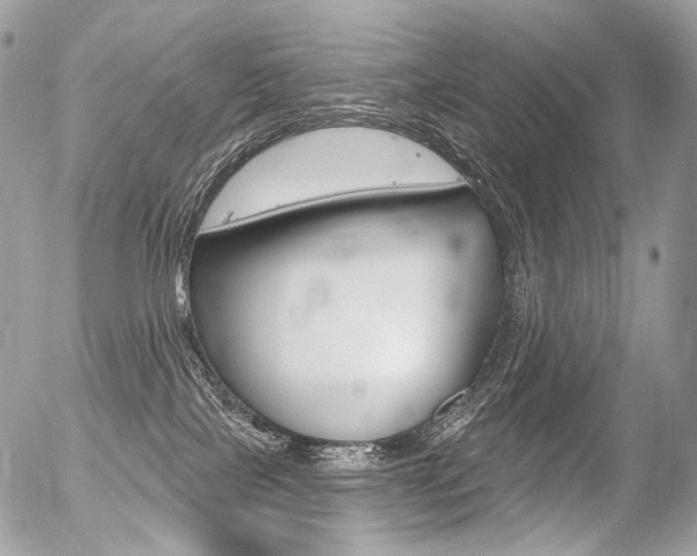 X0000056370089200508260931