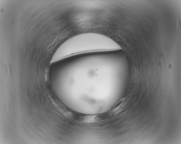 X0000056370090200508260931
