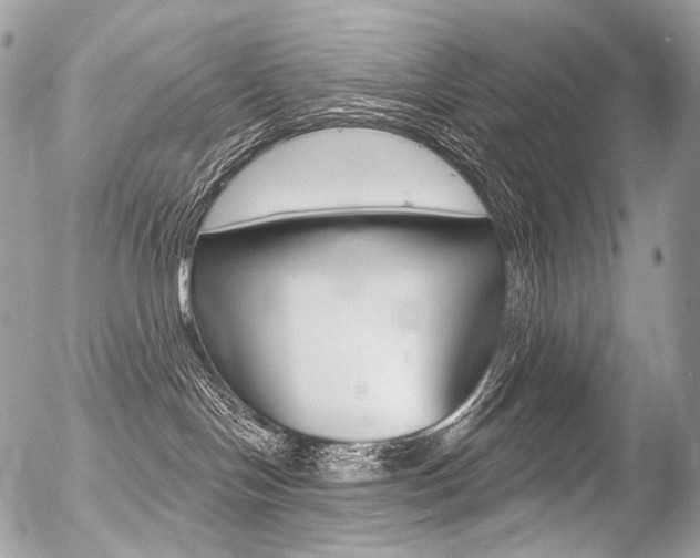 X0000056370094200508260931