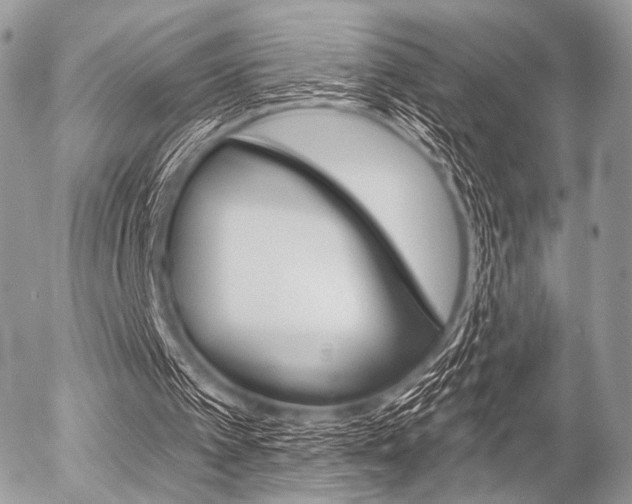 X0000056370097200508260930
