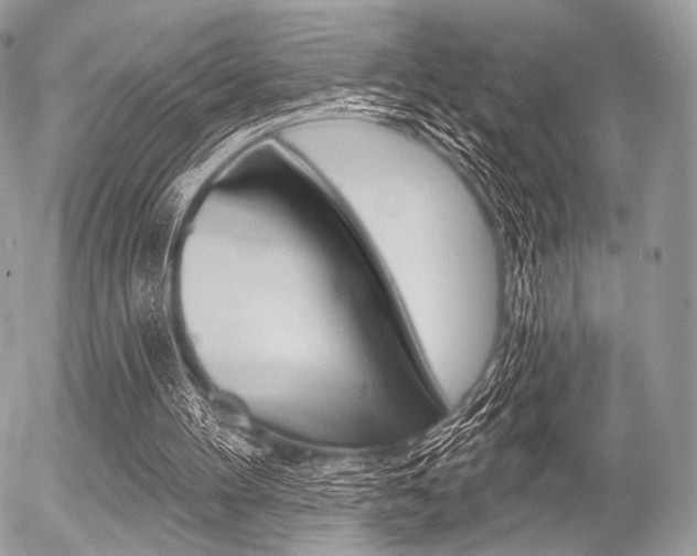 X0000056370100200508260930