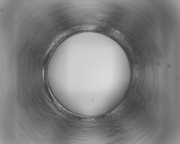 X0000056370110200508260930