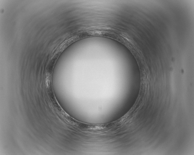 X0000056370125200508260930