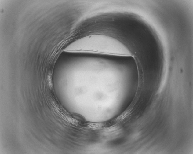 X0000056370143200508260930
