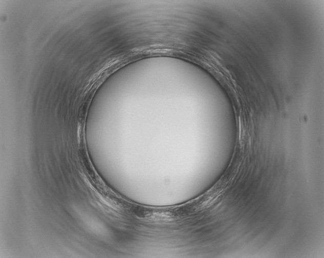 X0000056370157200508260929