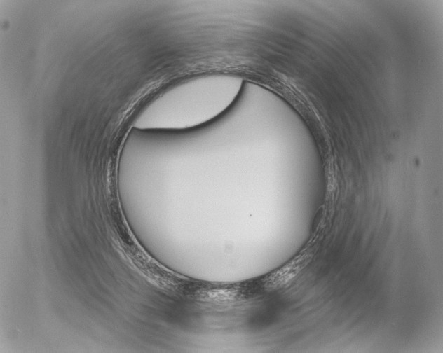 X0000056370163200508260929