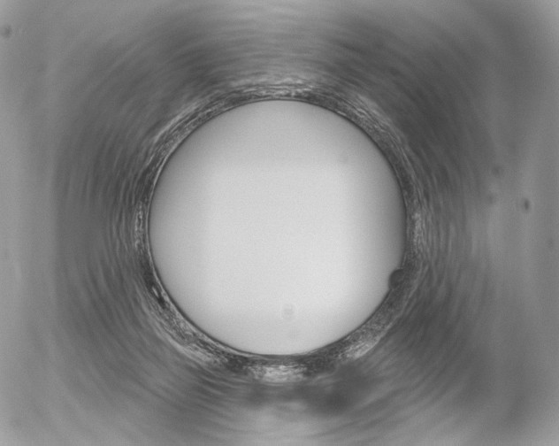 X0000056370165200508260929