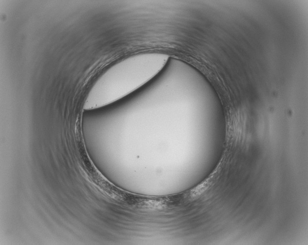 X0000056370166200508260929