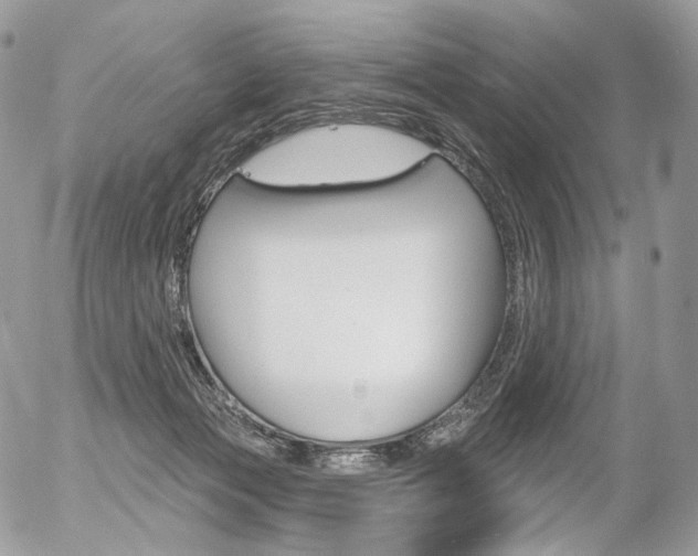 X0000056370173200508260929