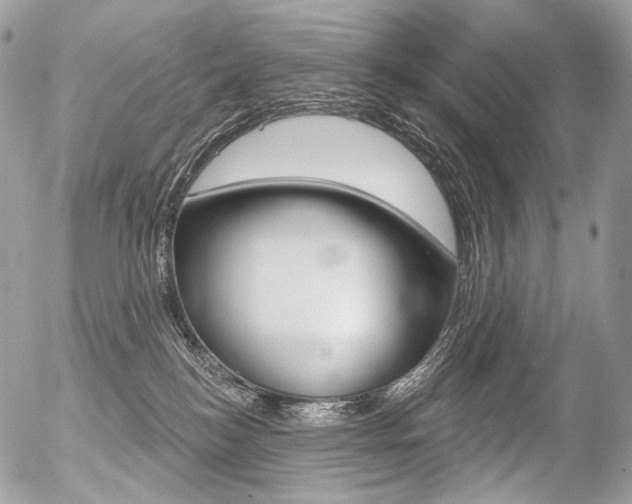 X0000056370184200508260930