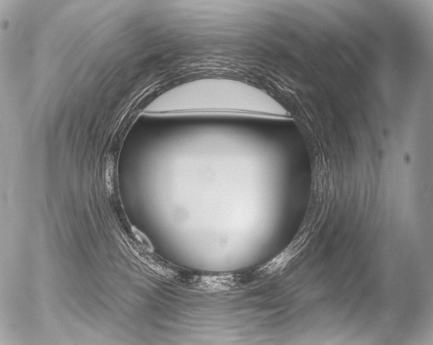 X0000056370188200508260930