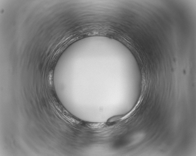 X0000056370191200508260930