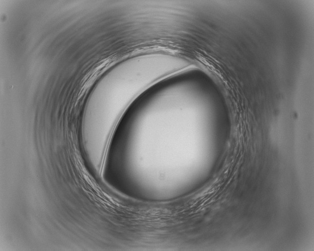 X0000056370193200508260929