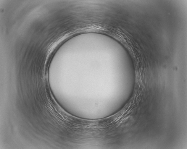 X0000056370196200508260929