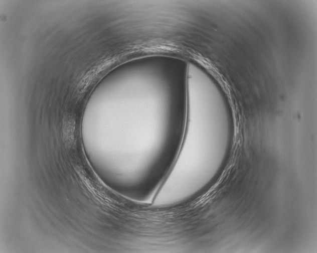 X0000056370201200508260929