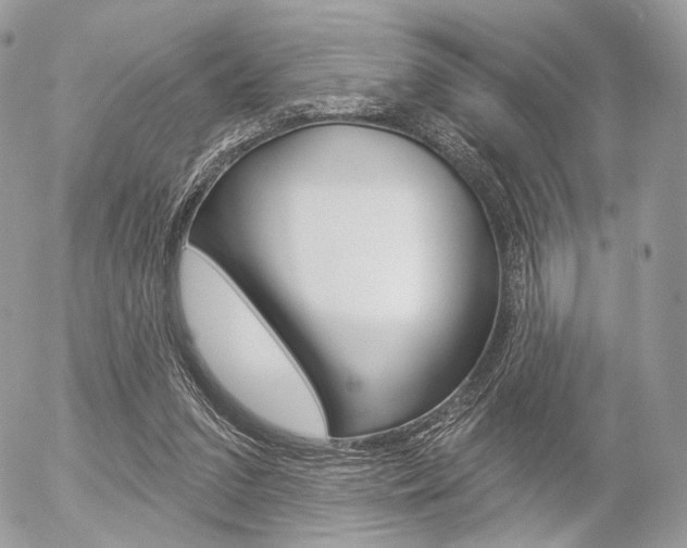 X0000056370207200508260929
