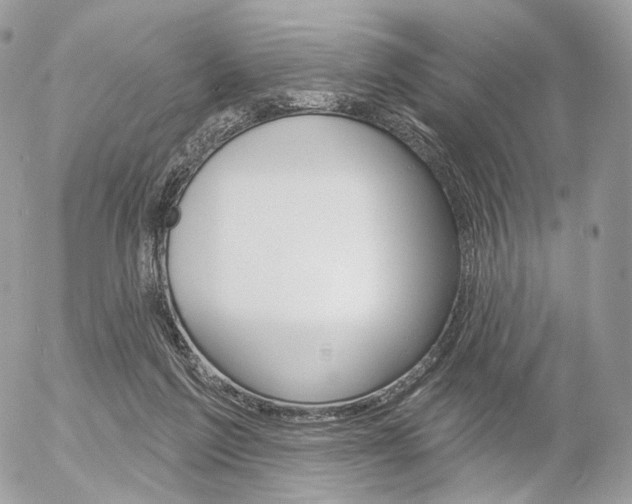 X0000056370213200508260929