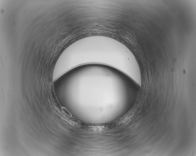 X0000056370233200508260928