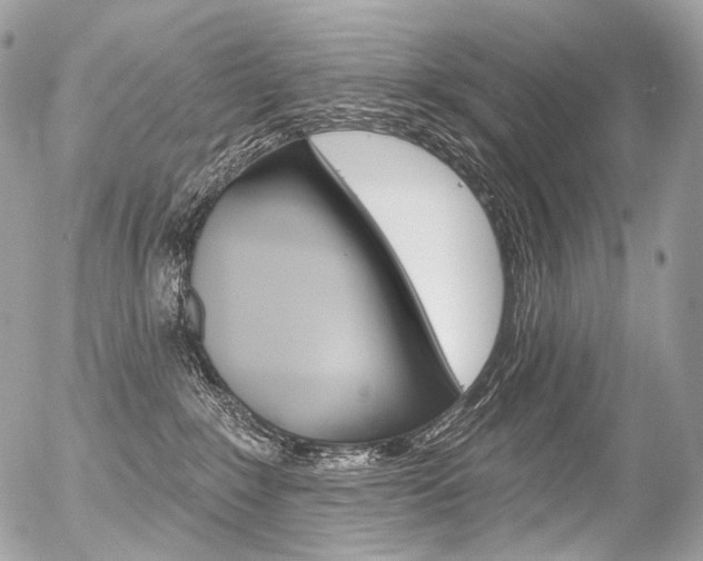 X0000056370235200508260928