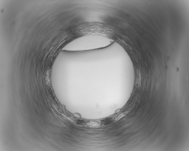 X0000056370236200508260928