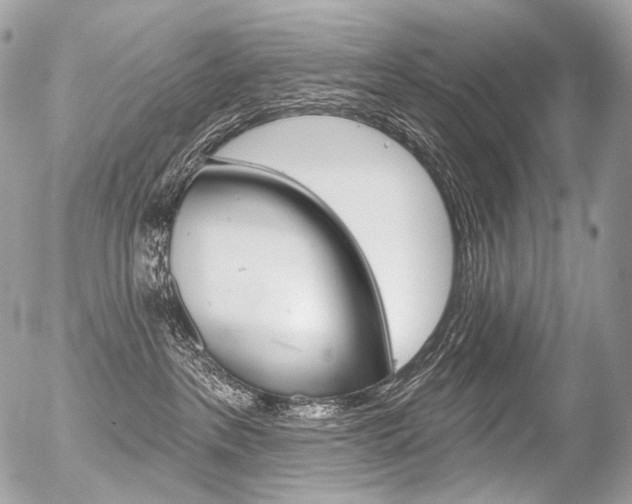 X0000056370237200508260928