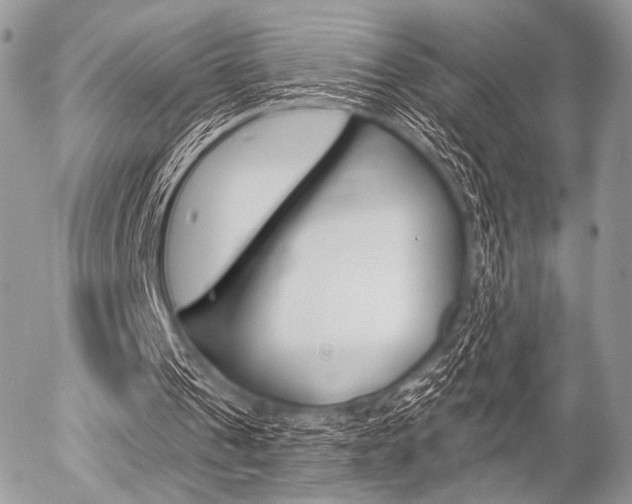 X0000056370241200508260927