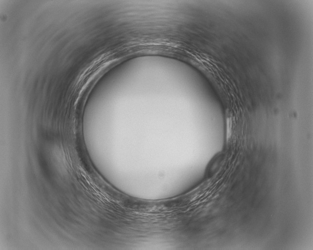 X0000056370243200508260927